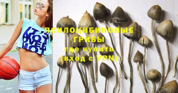 дживик Баксан