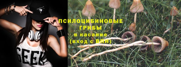 дживик Баксан